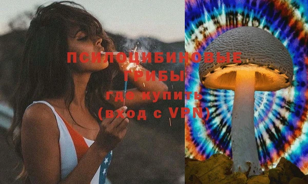 крисы Грязи