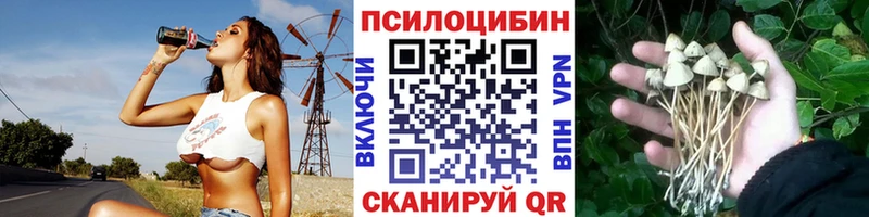 Псилоцибиновые грибы Magic Shrooms  Кирсанов 