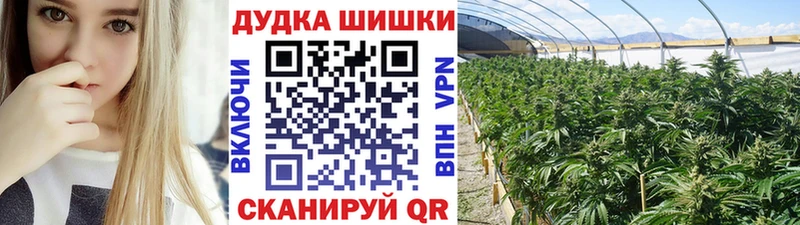 купить закладку  Кирсанов  Марихуана White Widow 